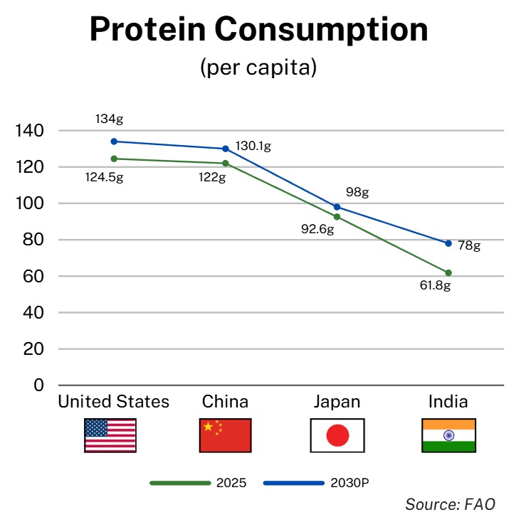 The Invisible Crisis – Decoding the Protein Paradox